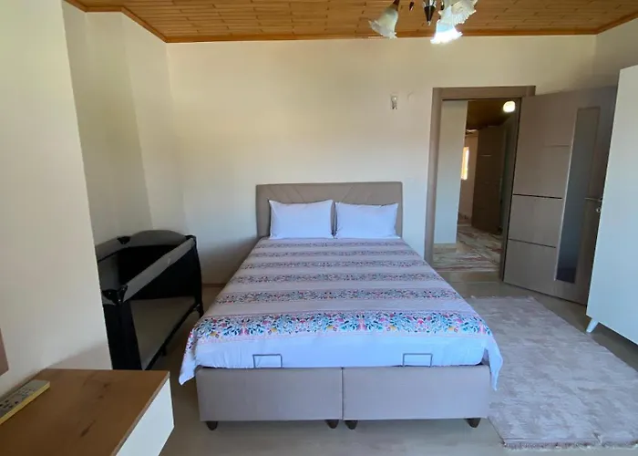 Nisa 3 * Φετιγιέ