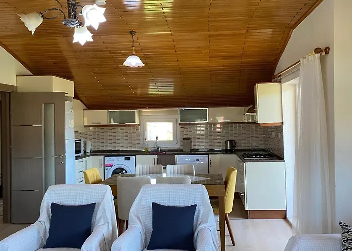 Nisa 3 フェティエ