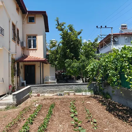 Nisa 3 Apartman *